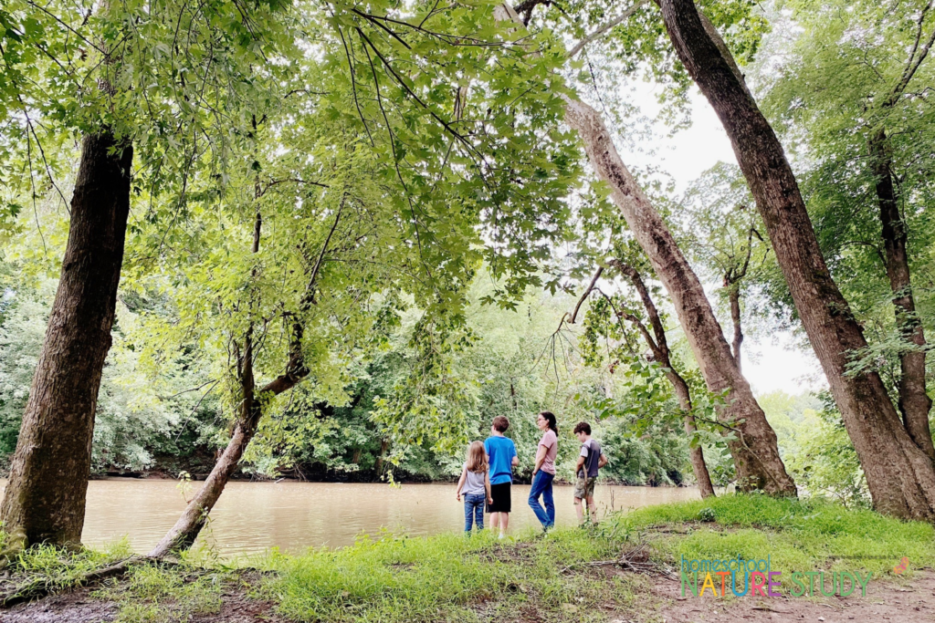 Here are some things to consider for your homeschool family nature study. Every family is different so use these tips to get started with simple and joyful Outdoor Hour Challenges.