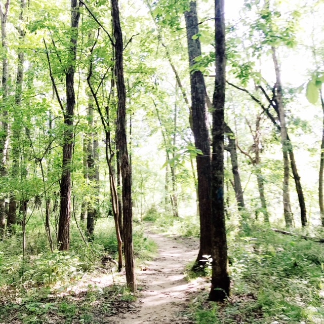 Just in case you're looking for another excuse to get outside in your homeschool. . .we've got a good one for you! National Take a Hike Day.