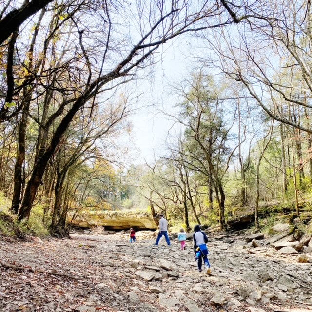 Just in case you're looking for another excuse to get outside in your homeschool. . .we've got a good one for you! National Take a Hike Day.