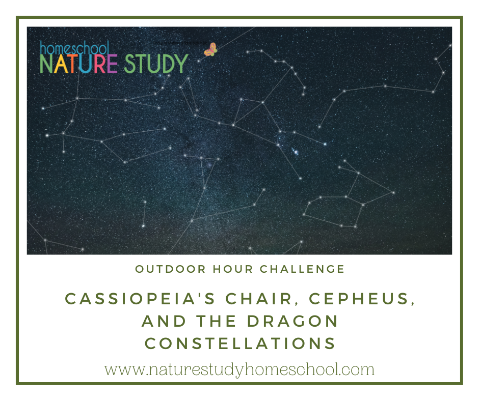 homeschool nature study on cassiopeia's chair, cepheus, and the dragon constellations