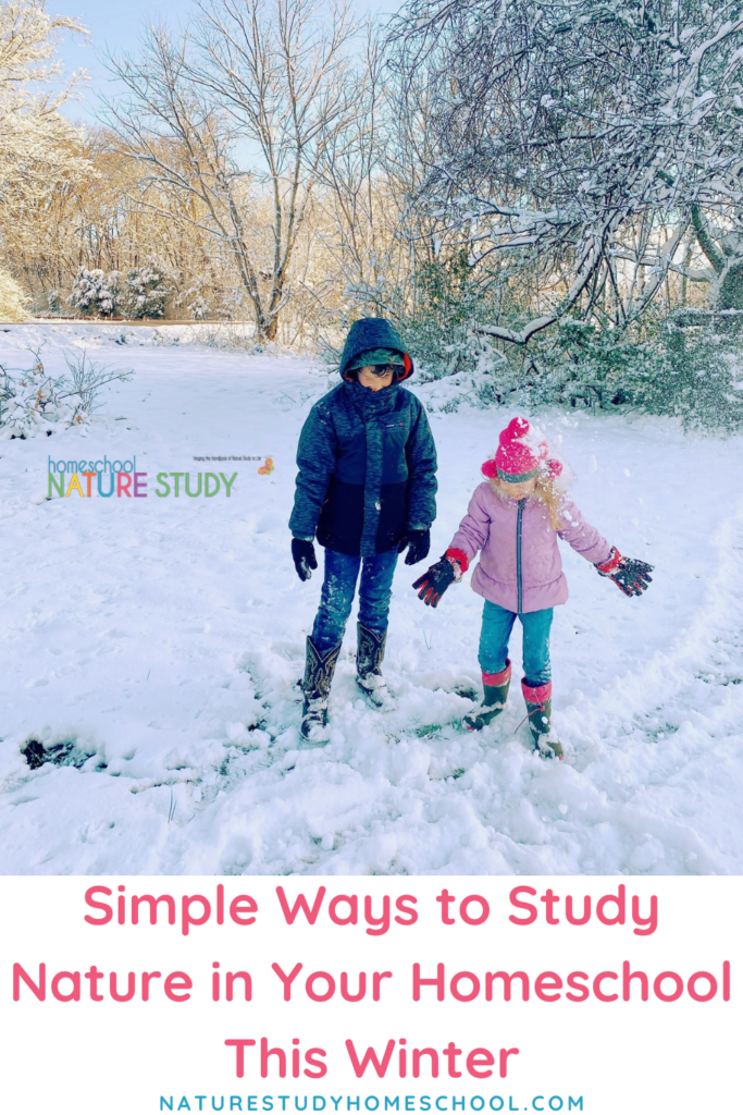 There are so many simple ways to study nature in your homeschool this winter! From nature walks to indoor studies, use this guide as a starting point for making memories together.