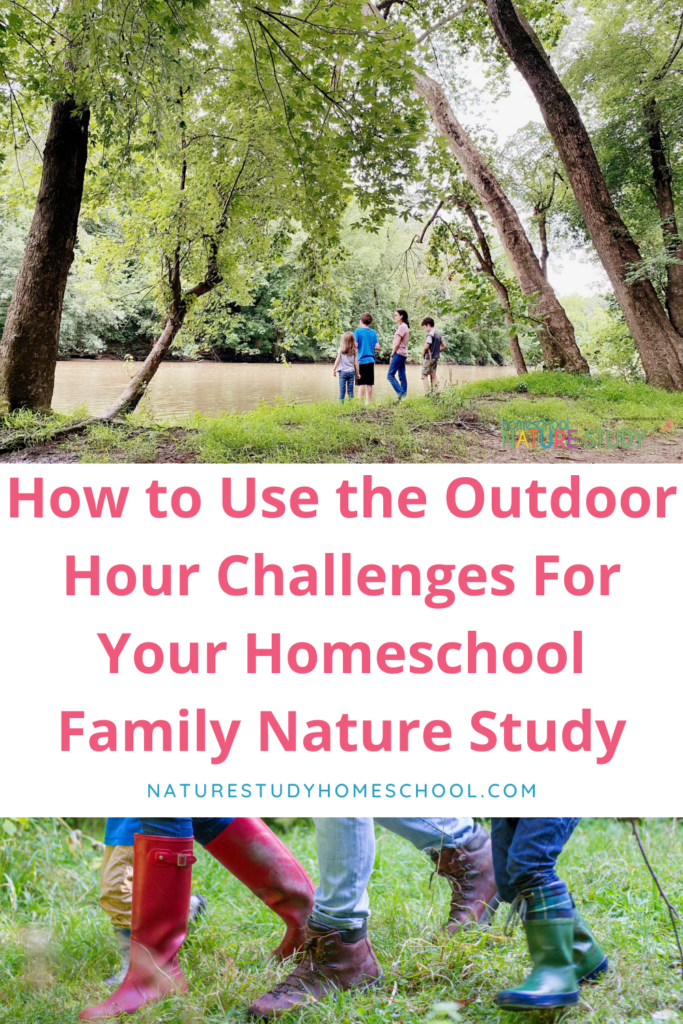 Here are some things to consider for your homeschool family nature study. Every family is different so use these tips to get started with simple and joyful Outdoor Hour Challenges.