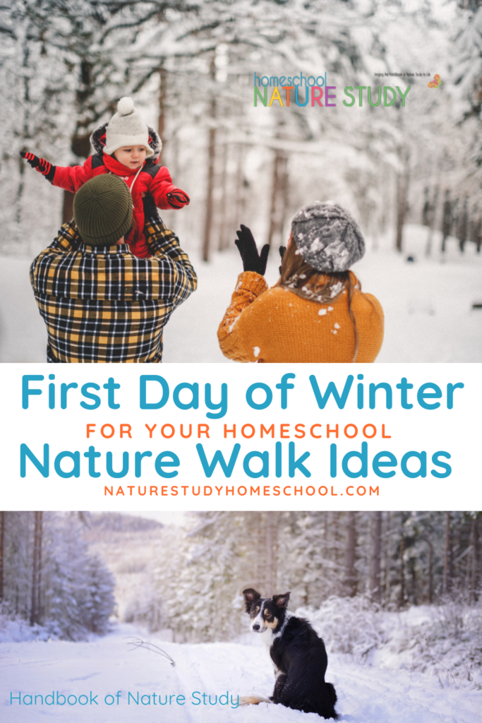 Get outside with your family with these first day of winter nature walk ideas for your homeschool! Simple and fun prompts to do together.