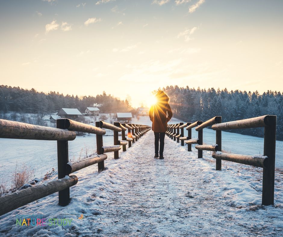 Get outside with your family with these first day of winter nature walk ideas for your homeschool! Simple and fun prompts to do together.