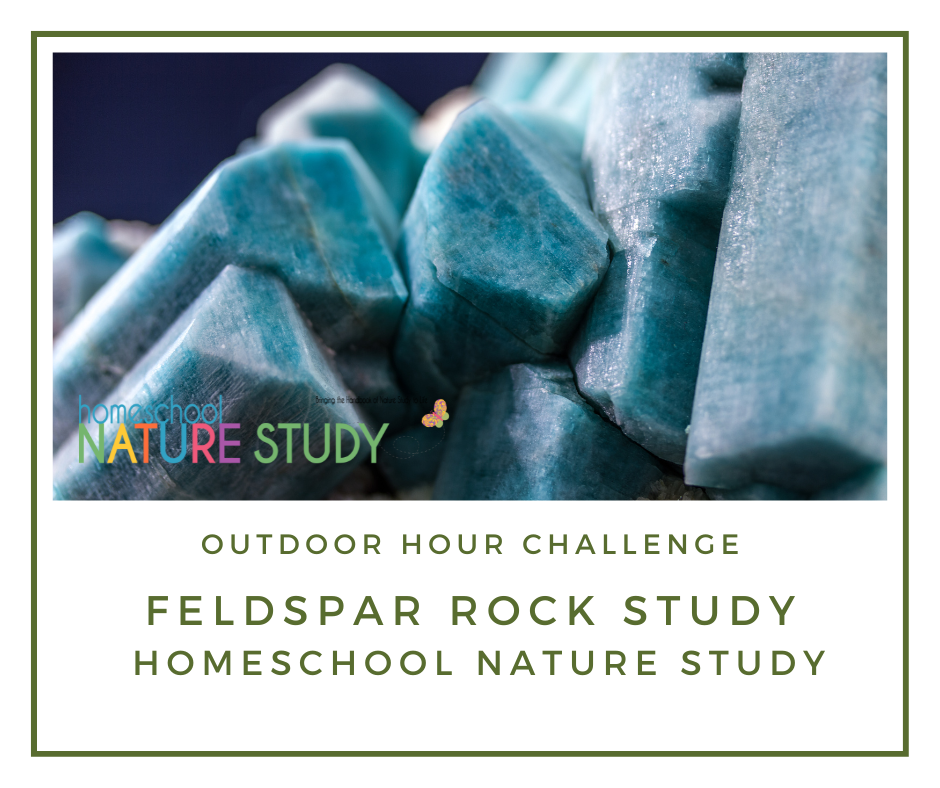 Homeschool Nature Study Feldspar Rock Study