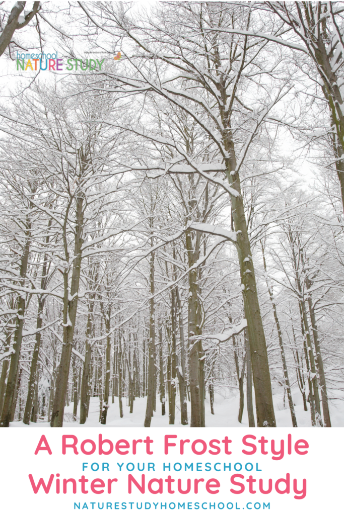 You can enjoy a Robert Frost Style winter nature study for your homeschool! Stopping By The Woods on a Snowy Evening can be a jumping off point. Enjoy these ideas for your snowy adventure.