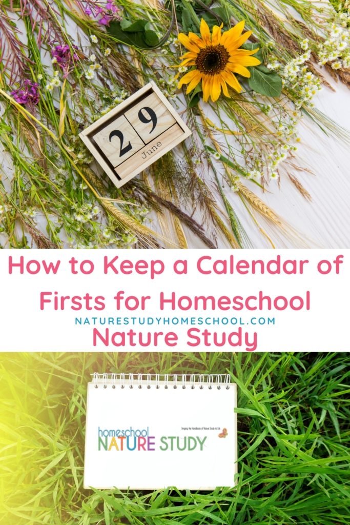 Keeping a calendar of firsts a great project based activity for your homeschool nature study. Here's how to make it work.