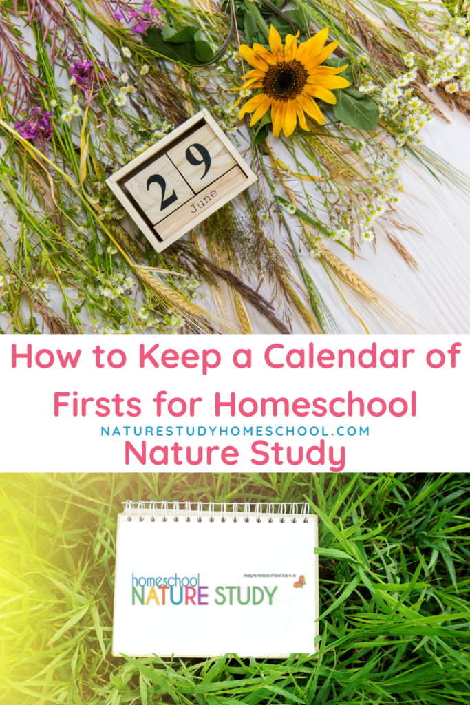 STEM Challenge for Kids: Build a Bird Nest - The Secret Life of  Homeschoolers