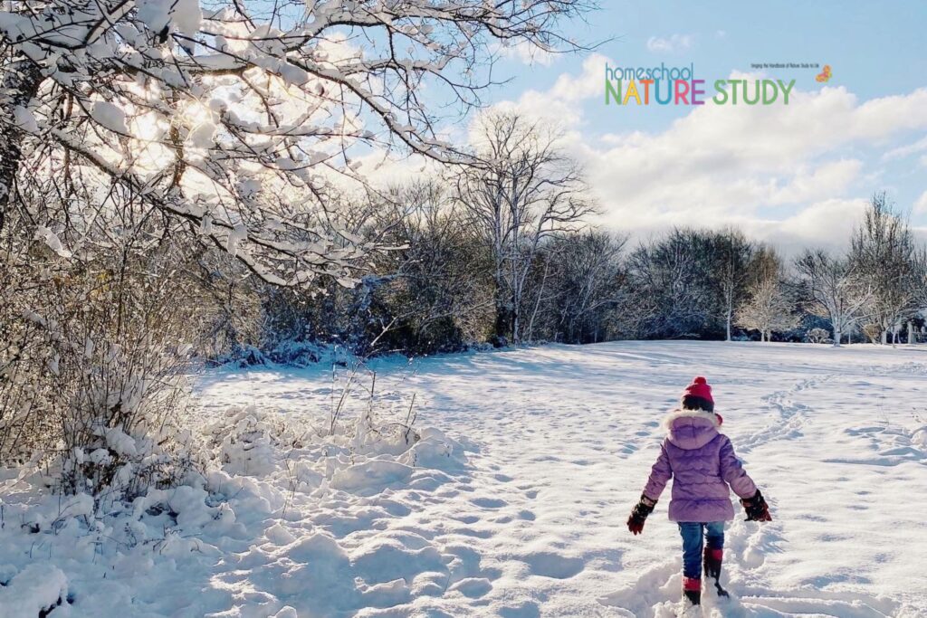 Enjoy January nature studies perfect for winter homeschooling! Make plans to get outside for a brisk nature walk and then to follow up with a nature journal page recording all of the interesting things you found while outside.
