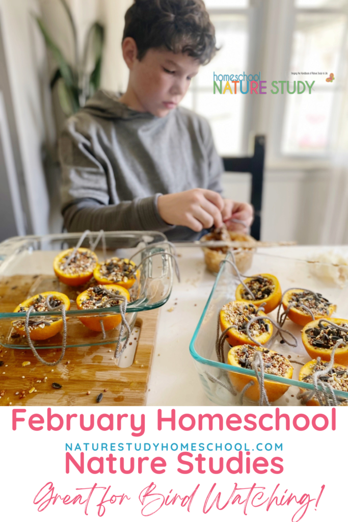 These February homeschool nature studies are great for bird watching and study. Includes The Backyard Bird Count and more!