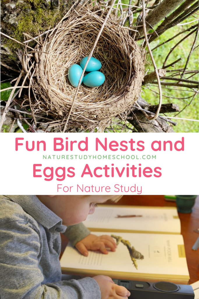 Enjoy these fun activities for learning about bird nests and eggs. Includes ideas for getting outside, bird resources and suggestions for follow up.