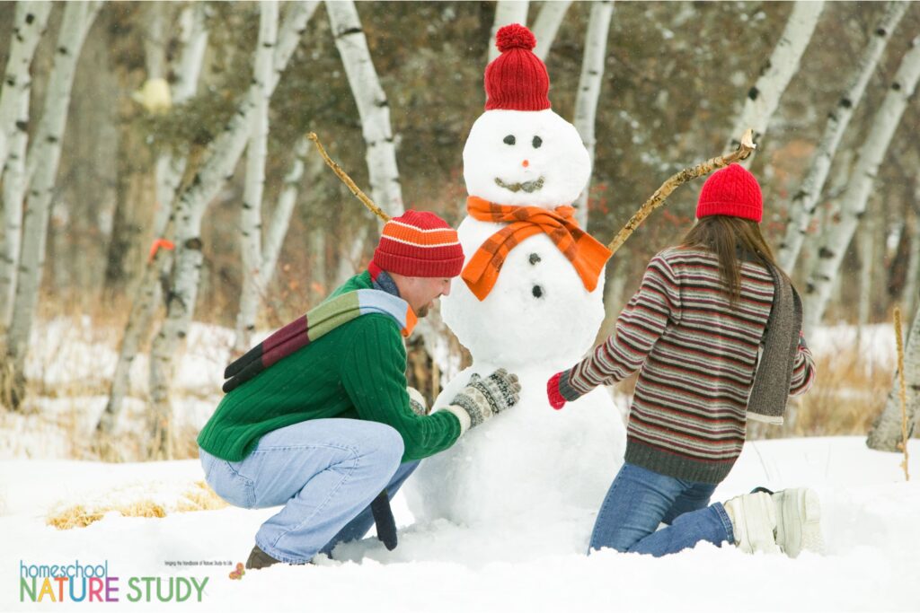Here is how to make a snowman bird feeder in your own backyard. This is a fun winter idea for your homeschool nature study and feathered friends.