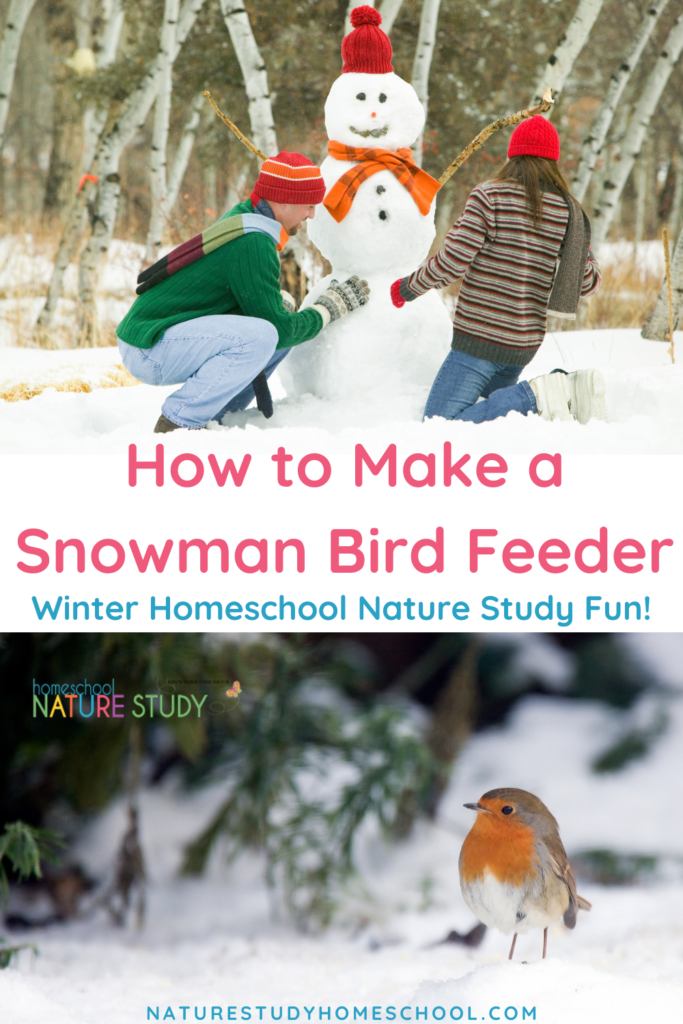 How to make a snowman bird feeder in your own backyard. This is a fun winter idea for your homeschool nature study and feathered friends.