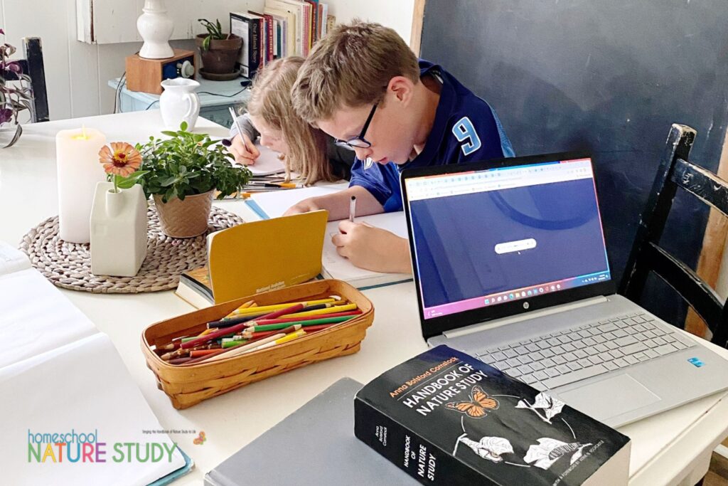 enjoy indoor nature study in your homeschool