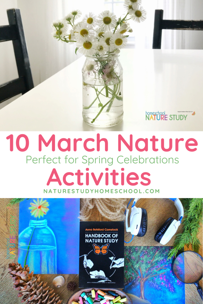March brings beautiful spring opportunities to homeschool families. Enjoy these March nature activities perfect for spring celebrations!