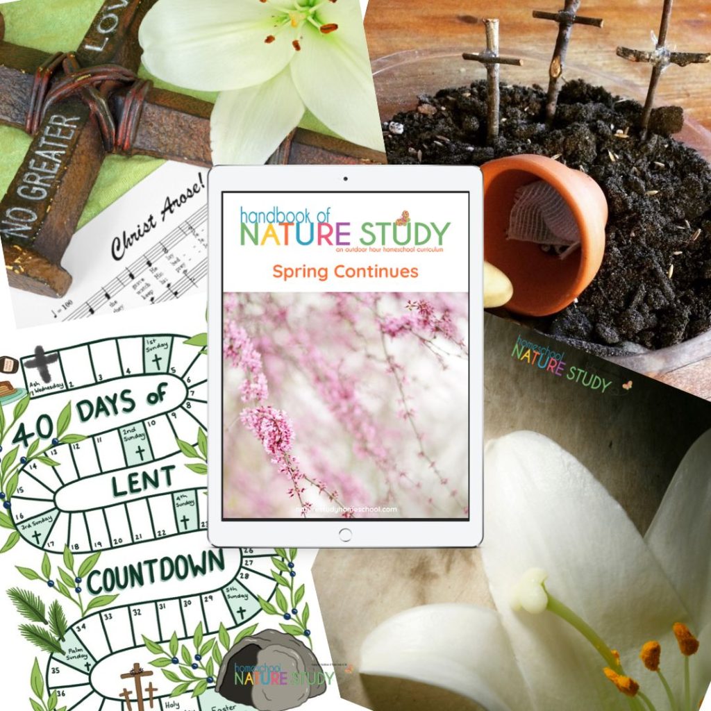 Easter nature studies for your homeschool
