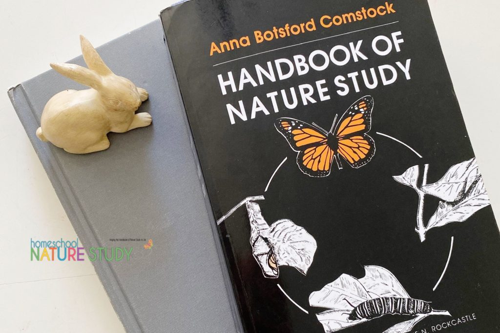 The Outdoor Hour Challenges with The Handbook of Nature Study