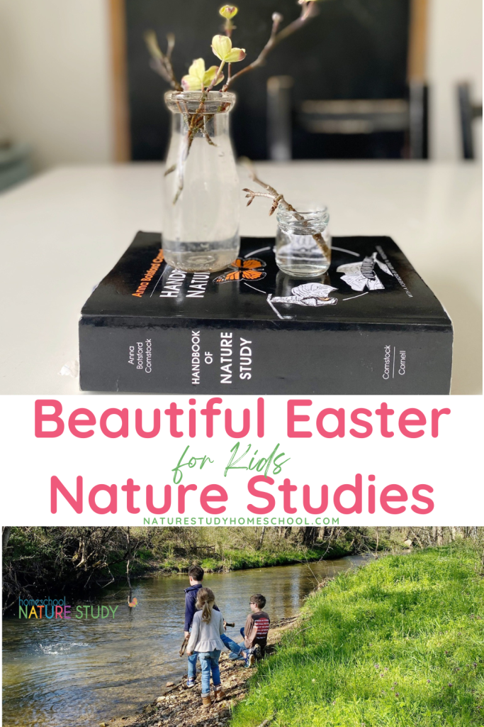 With signs of spring upon us, enjoy these beautiful Easter nature studies for kids. A fun and hands-on way to celebrate the resurrection story.