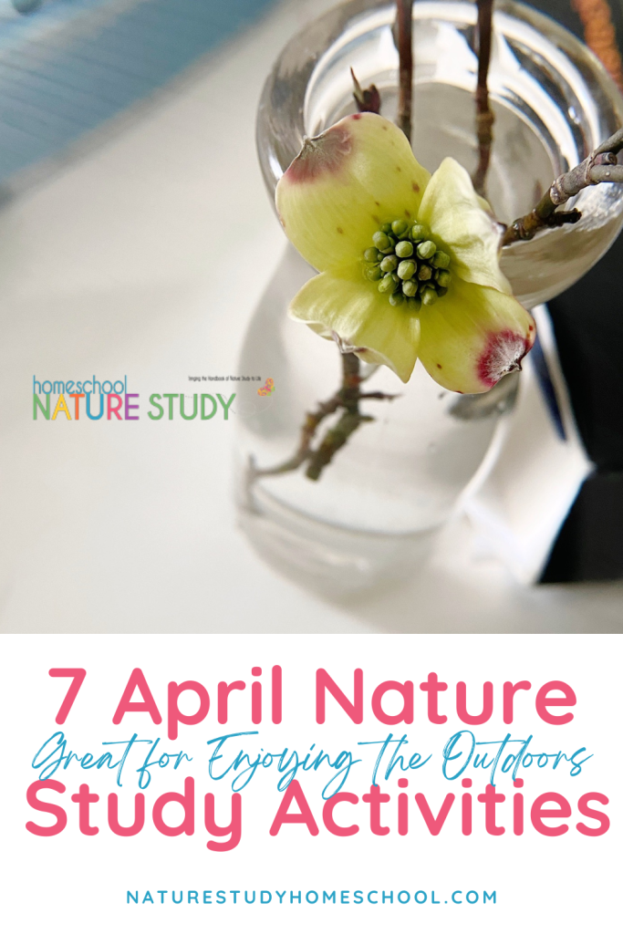 With the weather warming up, these April nature activities for enjoying the outdoors have you covered. Beautiful ideas for enjoying nature!