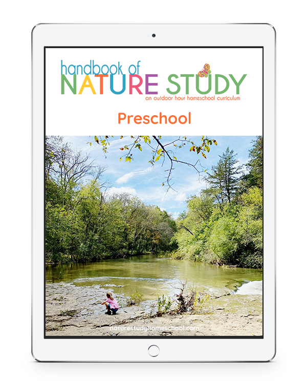 Delightful Preschool Nature Study Plans for Your Homeschool