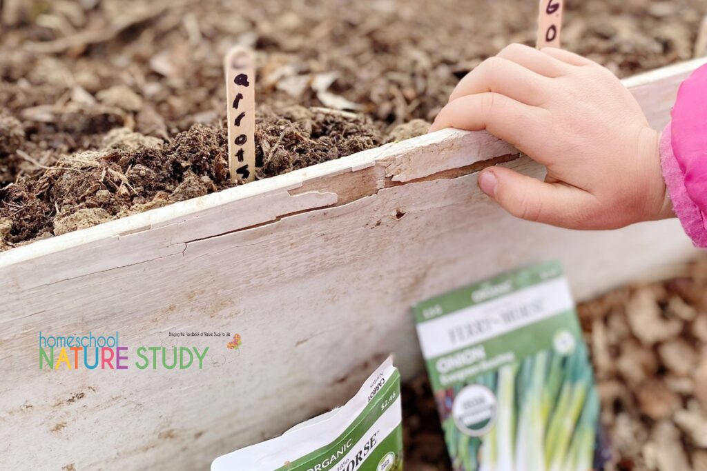 These homeschool garden activities are perfect for your May nature studies. Includes outdoor activities and gardening tips for kids.