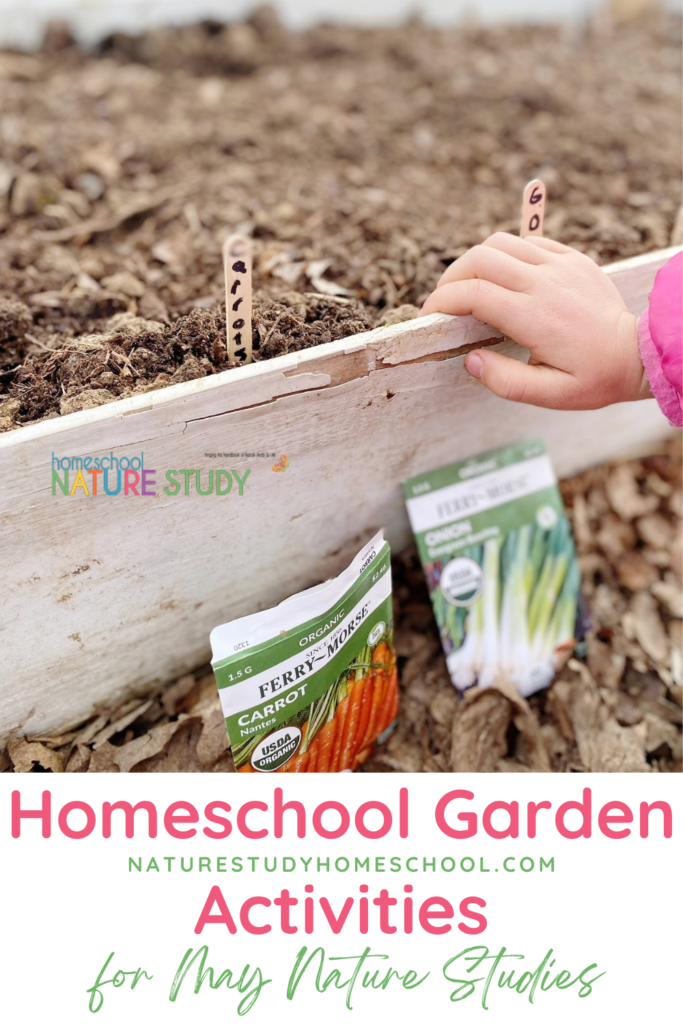 These homeschool garden activities are perfect for your May nature studies. Includes outdoor activities and gardening tips for kids.