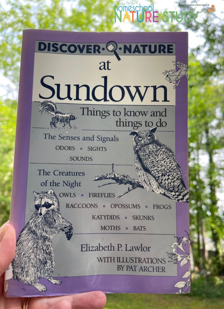 Find fun summer nature study ideas with Discover Nature at Sundown. Includes a free printable for families to take a fantastic nature walk in the evenings.