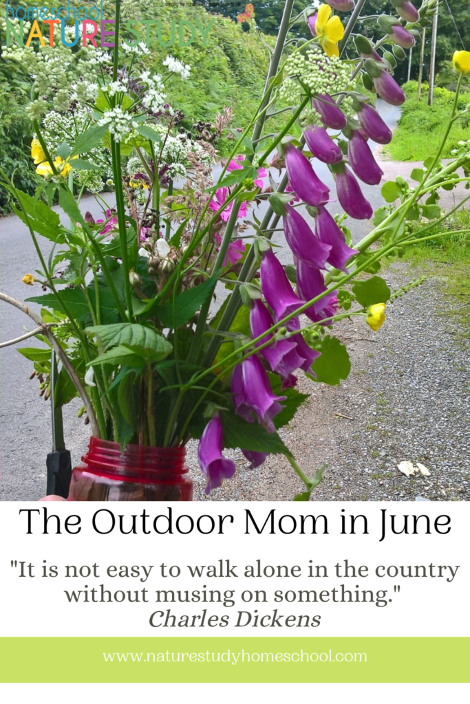 June Homeschool Outdoor Mom activities! So this summer I want to encourage you to take lots of walks. Eat lots of picnics outdoors. Take your shoes off and paddle in cool streams with your children and lie down in flower-filled meadows looking up at the blue skies and finding shapes in the clouds. Take time to plan a long, slow, purposeful summer with your families.