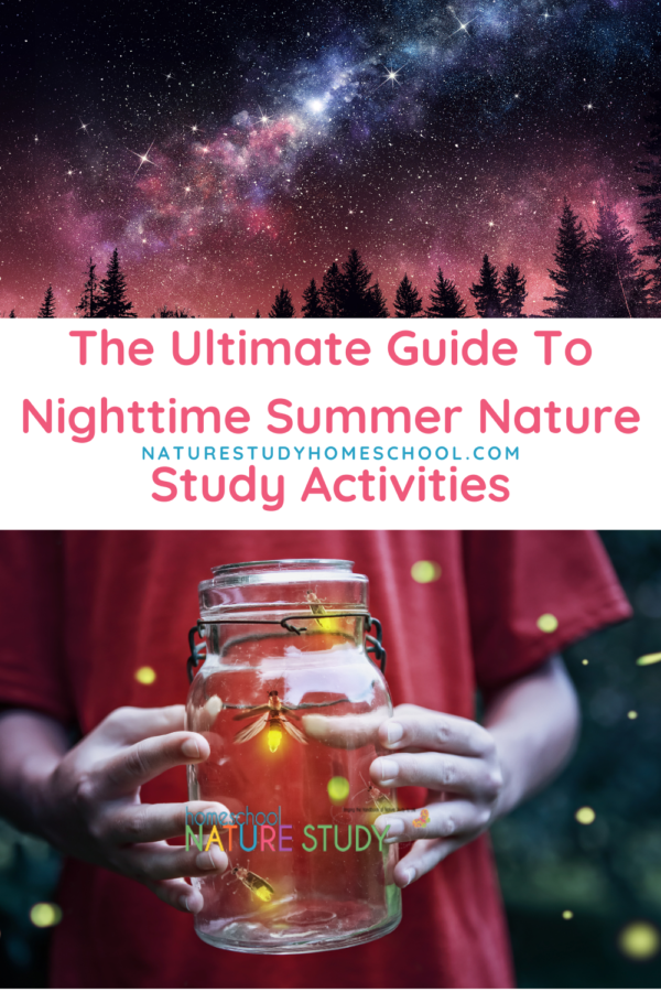 The Ultimate Guide To Nighttime Summer Nature Study Activities