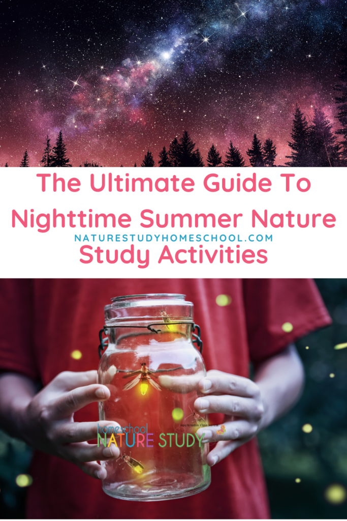 With the warmer evening temperatures and longer twilight hours of summer, your family can enjoy a few nighttime nature study activities.