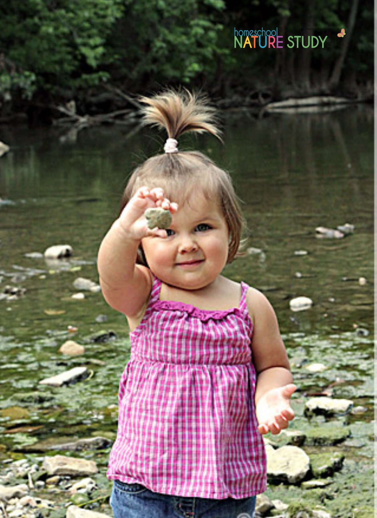 The Ultimate Guide To Camping Activities for Kids Homeschool Nature Study