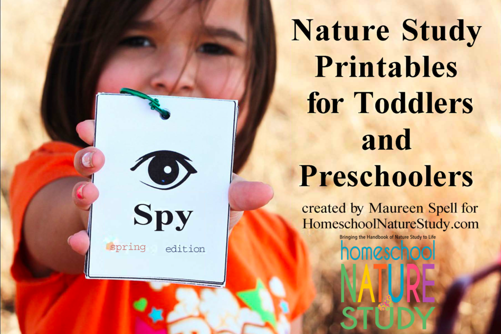 Enjoy these homeschool nature study preschool printables alongside our Delightful Preschool Homeschool Nature Study Curriculum!