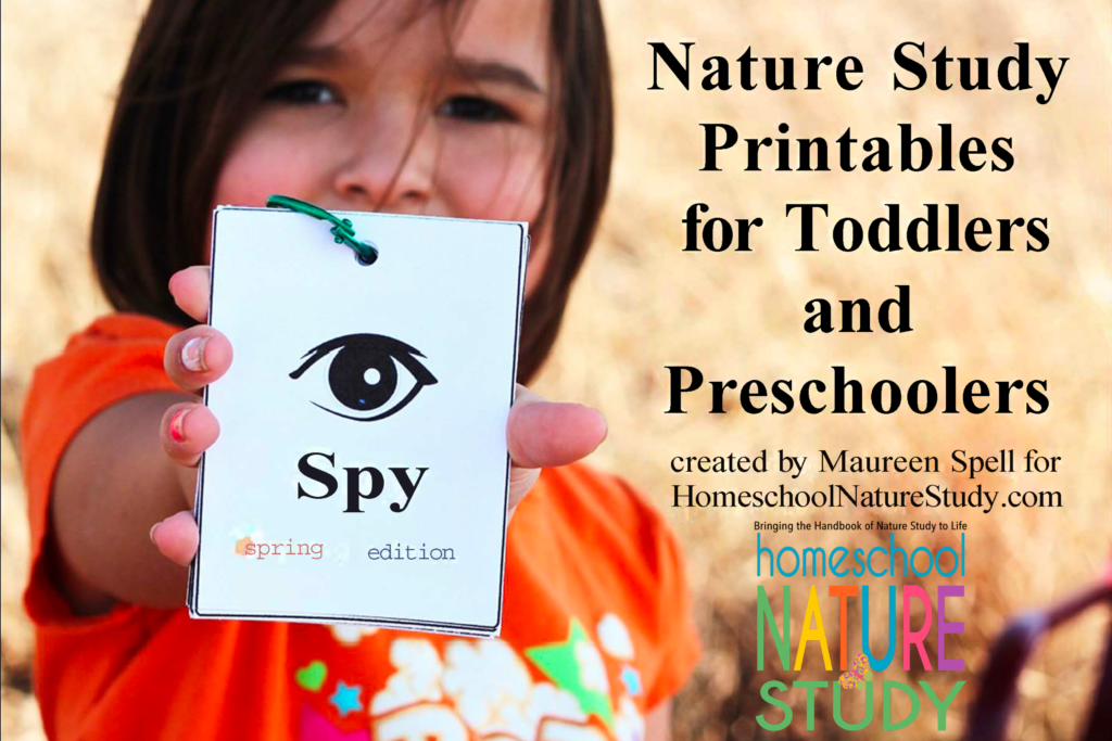 These spring preschool science activities will delight your youngest homeschoolers! Butterflies, flowers, ladybugs and more!