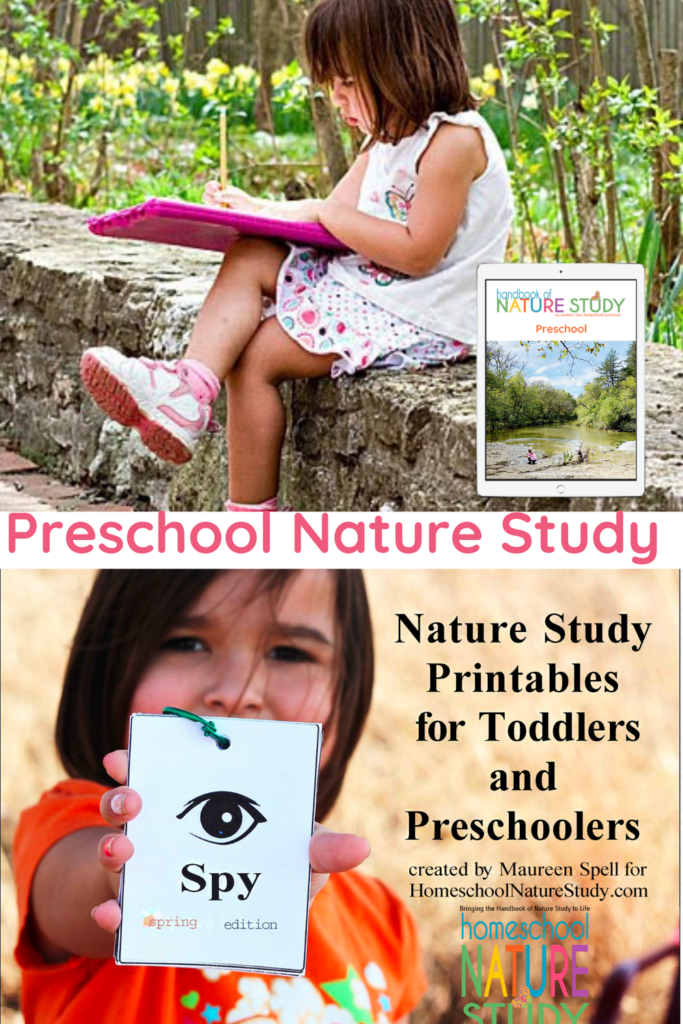 Enjoy these homeschool nature study preschool printables alongside our Delightful Preschool Homeschool Nature Study Curriculum!