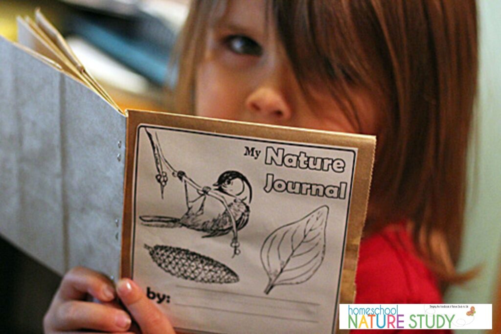 how to make easy preschool nature journals