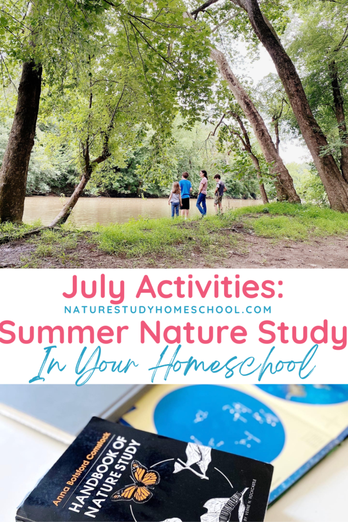 What a joyous time to enjoy the outdoors at a slow and delightful pace! These July activities for summer nature study are packed full of fun ideas for your family.