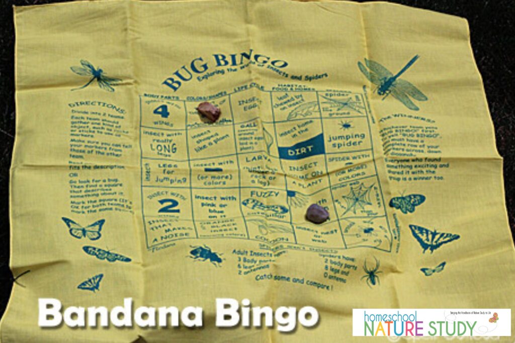 Bandana Bingo outdoor game for kids