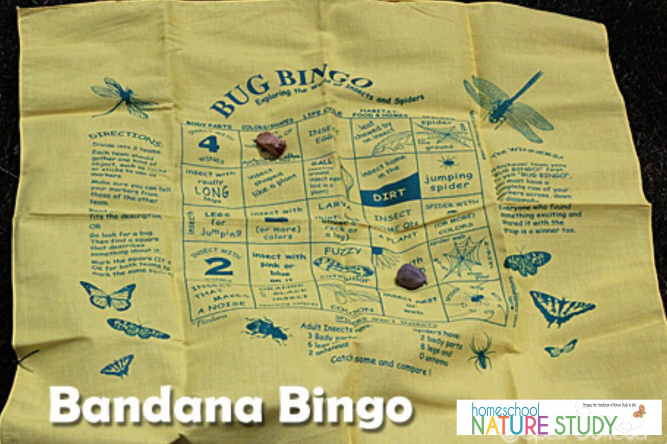 The Ultimate Guide To Camping Activities for Kids - Homeschool Nature Study
