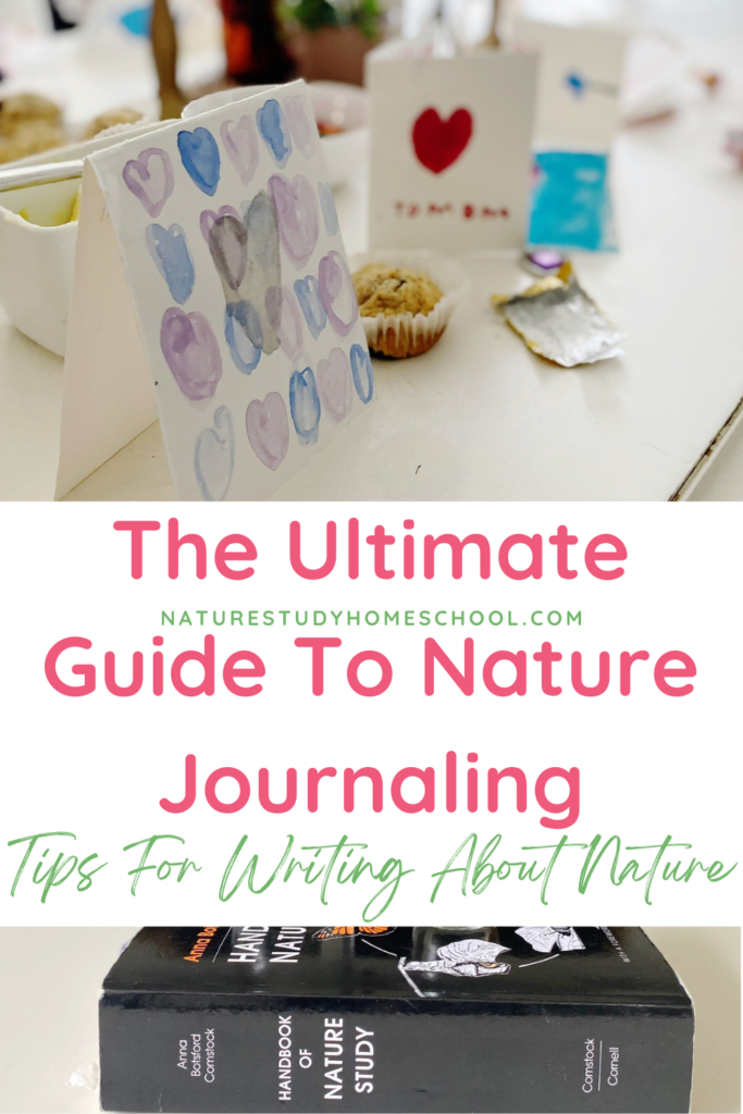 We've gathered the best tips for writing about nature in this ultimate guide to nature journaling. What a wonderful, joyful way to expand your homeschool nature study!