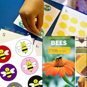 An Awesome List of Bees and Bumble Bees Nature Studies - Homeschool ...