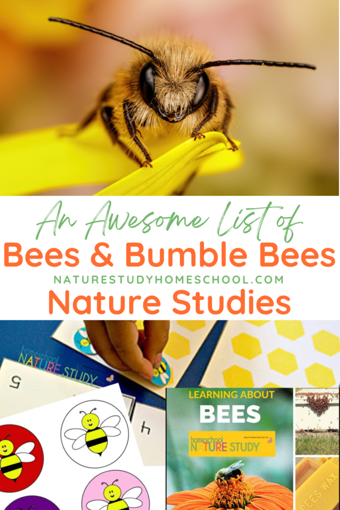 Find nature studies on bees for all ages! Learn the different types of bees, visit a bee farm, play bee games, create a bee garden habitat & more!