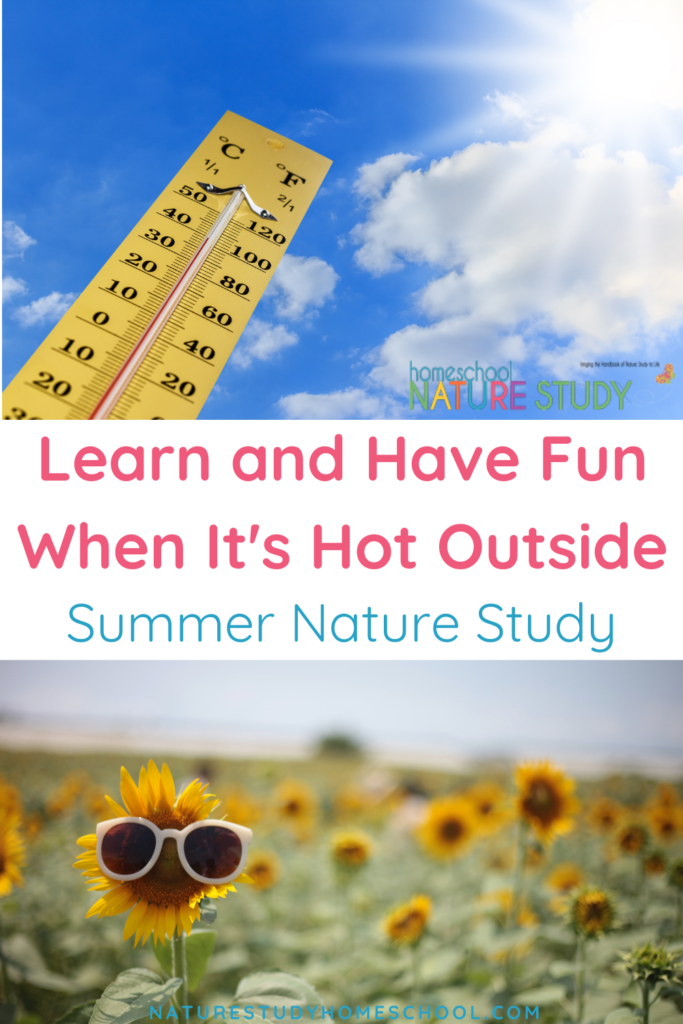 The best tips for enjoying summer nature study, even when it's hot outside.