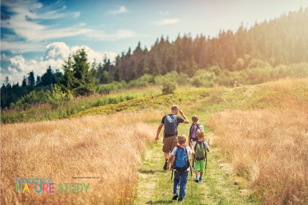 Take advantage of August summer nature walks and nature study in your homeschool! Let nature inspire what you study.