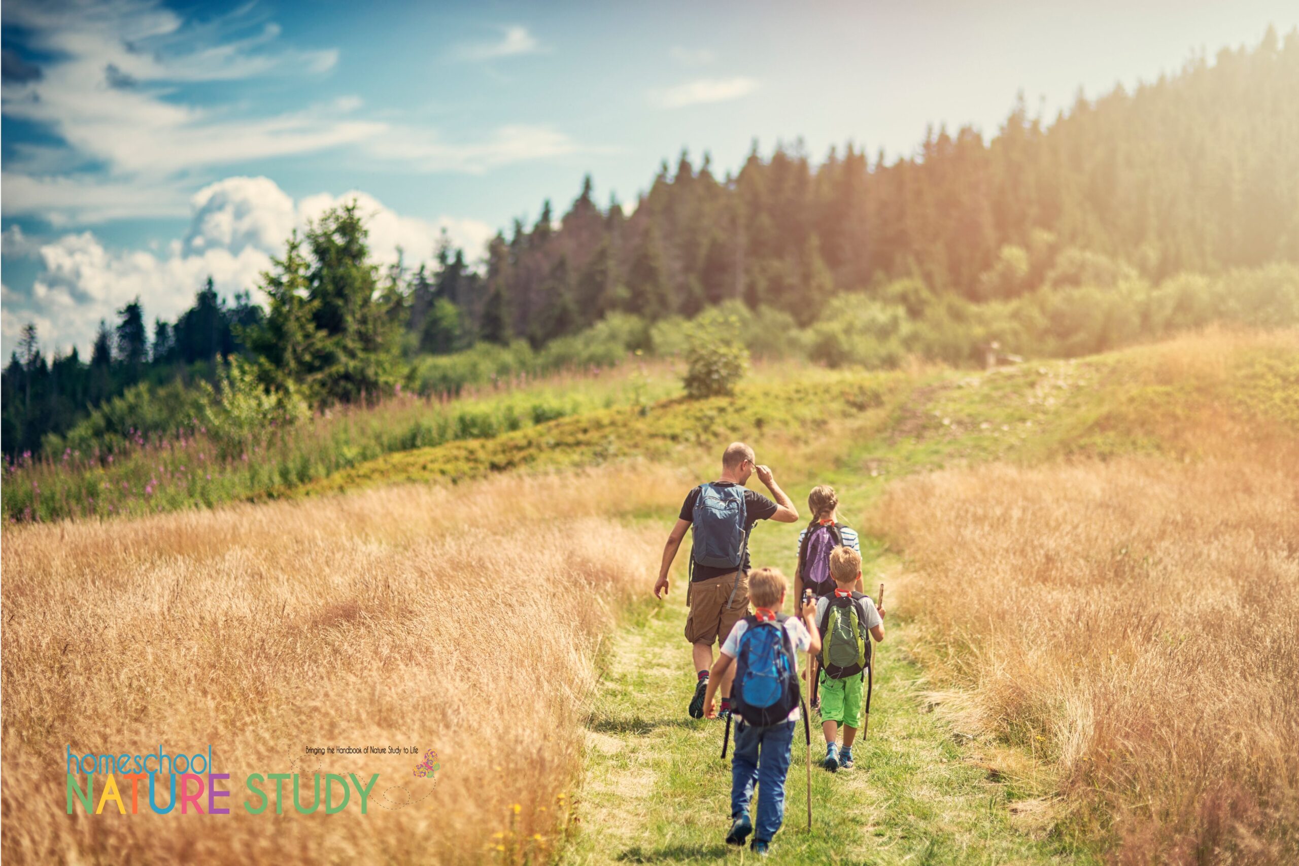 Mega List of August Summer Walk and Nature Study Activities - Homeschool  Nature Study, image size:2560x1707