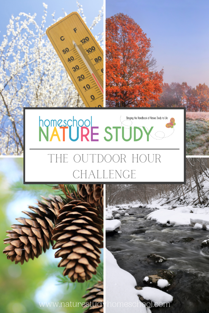 November Homeschool Nature Study Outdoor Hour Challenges