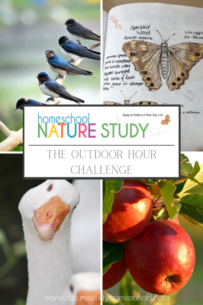 September nature study activities with The Handbook of Nature Study Outdoor Hour Challenges