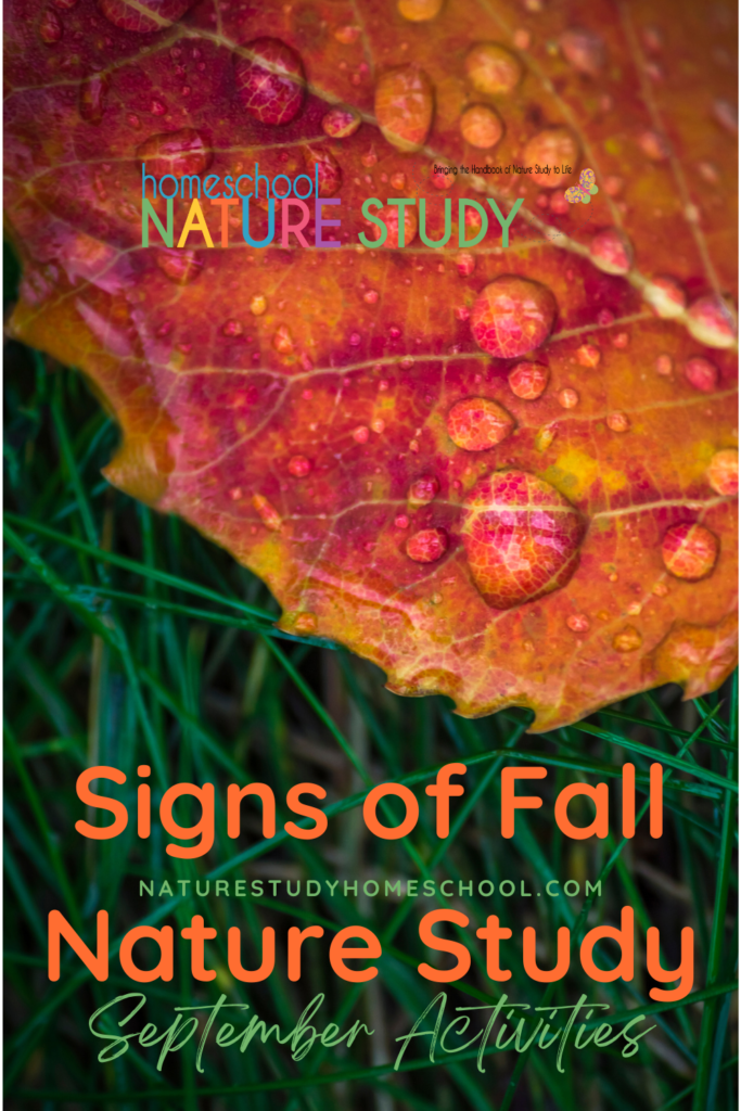 Enjoy these activities for your September nature study. Get excited to be outdoors this fall with your children!