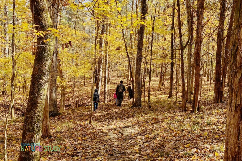 Enjoy these activities for your September nature study. Get excited to be outdoors this fall with your children!