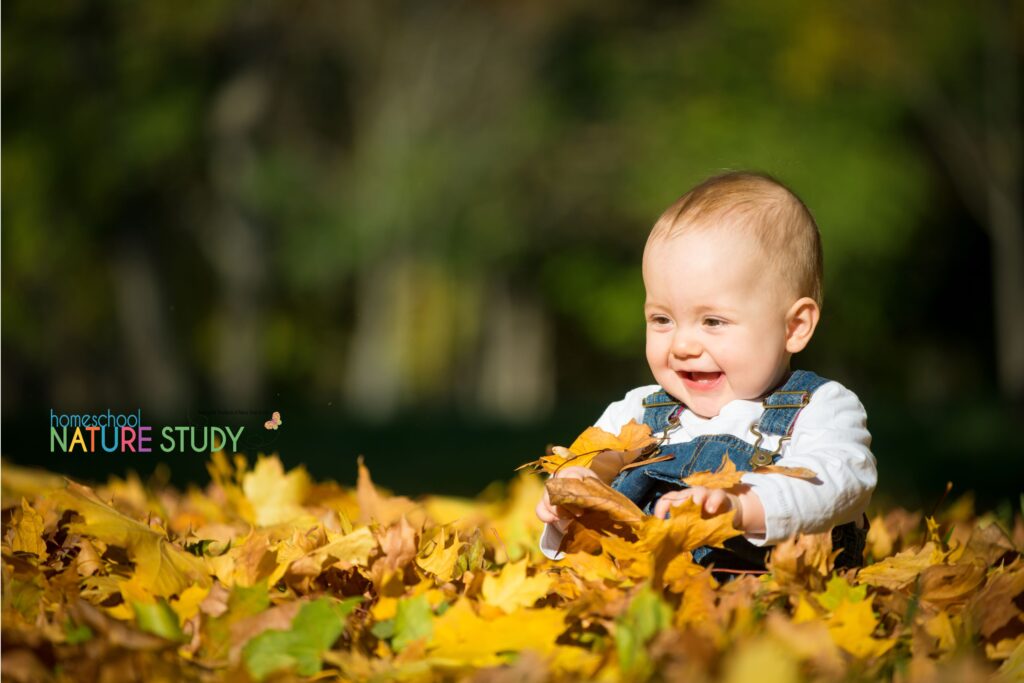 A really great thing about fall is that it is a great time to get outdoors with the kids and explore nature. With that being said, here are some great fall nature study ideas for toddlers and preschoolers that I hope you (and your little ones) will enjoy.