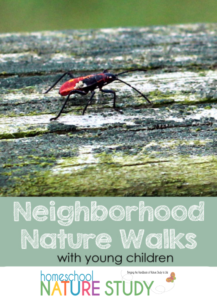 One of my favorite ways to introduce science to my children is through nature walks. Nature walks allow for hands-on learning, observation, and conversation. Not only that, it allows my children to appreciate and have a love for their natural surroundings.